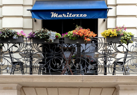 Maritozzo