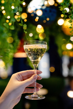 R14, БОКАЛ ИГРИСТОГО PROSECCO DECORDI AM 5.jpg