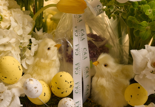 Коллаборация Probka x САД Flowers