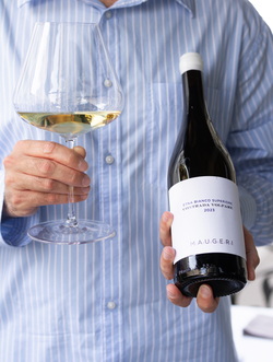 MARITOZZO, БЕЛОЕ ВИНО MAUGERI, FRONTEBOSCO ETNA BIANCO