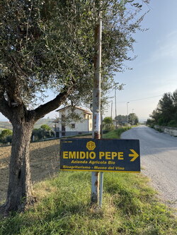 EMIDIO PEPE