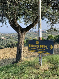 EMIDIO PEPE